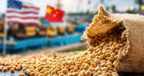Giữa mùa cao điểm, triệu tấn hàng Mỹ thất thu tỷ USD vì Trung Quốc ‘ngó lơ’, chọn nguồn Brazil