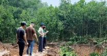 Hà Nội: 'Đất tặc' ngang nhiên phá hoại cây trồng của người dân, xúc trộm hơn 500m3 đất