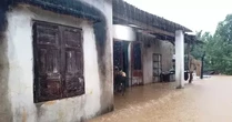 Bão số 1 đặc biệt, bất thường và cực đoan