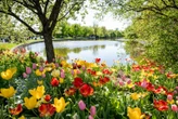 Skip the sakura crowds at these lesser-known flower festivals