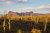 11 best spring break destinations in the US