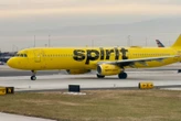 An ode to Spirit Airlines: Yeah, they were all yellow