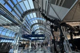 Chicago flight cuts coming: FAA orders airlines to reduce O'Hare schedules to cool turf war
