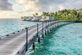 Why you need both a personal and business Marriott Bonvoy credit card