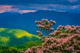 9 underrated spring travel destinations for 2026