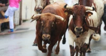 Crypto Daybook Americas: Bitcoin Retreats From $108K, But Bulls Aren’t Done