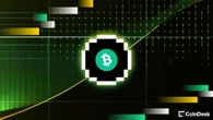 Bitcoin hits wall at $80,000, one analyst says the pullback is temporary