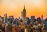 How Social Media Built a Global Hub for Bitcoin Treasuries