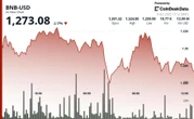 BNB Falls 2% as Memecoin Trades Unwind Despite 'Hard to Ignore' Rally