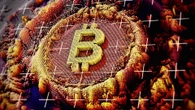 Why diehard bitcoin purists aren’t sweating the massive price crash that wiped out $200 billion