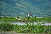 U.S. Treasury Sanctions Burmese Militia Group Said to Run 'Pig Butchering' Compounds