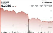 Dogecoin Plunges 10% in Midnight Crash, Struggles to Find Footing
