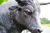 Bitcoin Bull James Wynn Close to Total Liquidation as Losses Near $100M