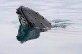 A bitcoin whale that went silent in 2013 moves $40 million in BTC