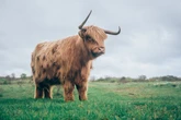 Privacy-Focused Zcash Tops Key Resistance Above $40 to Flash Bull Signal