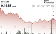 Dogecoin Holds 16 Cent Support as Bulls Defend Multi-Week Floor