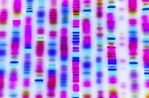 Optimism Taps Flashbots to Supercharge OP Stack Sequencing
