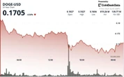 Dogecoin Plunges 8% as Price Action Points to Brief Technical Bounces