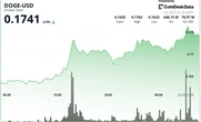 Dogecoin Sees Heavy Buying From Whales as Elon Musk Supports BTC in New Party Rollout