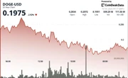 DOGE Trading Desk Flows Hint Bottoming. Watch $0.214 Flip for Momentum Trigger