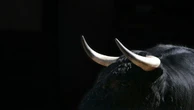 Taurus Releases Open Source Privacy Tech for Stablecoins, Starts With Circle's USDC