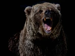 Bitcoin Tumbles Back Below $110K as Crypto Bounce Fails, Ether Plunges 8%