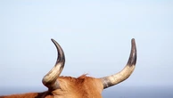 Crypto Treasury Strategy News: Hong Kong's Reitar and VivoPower