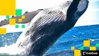 Why Some Bitcoin Whales Are Converting Their BTC Into Spot ETF Shares: Bloomberg