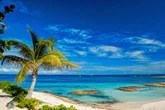 Maldives Could Soon Become a Crypto Hub Thanks to Dubai Family Office's $9B Commitment