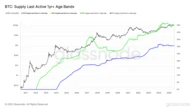 Bitcoin Long-Term Holders Signal Patience in Market