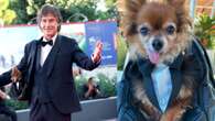 La nuova star dei social è il cane di Ronn Moss: Prince a Venezia ha sfilato in smoking