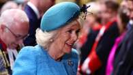 La regina Camilla torna in pubblico: l’abito turchese per l’evento a Westminster