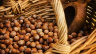 Quante nocciole si possono mangiare al giorno e quali sono i benefici
