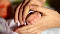 La fecondazione in vitro è più efficace se gli ovuli vengono presi in estate: bimbi nati +30%