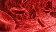 Cancro, come funziona l’algoritmo TINC che aiuta a combattere i tumori del sangue