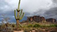 Il caldo estremo sta facendo morire persino i cactus del deserto