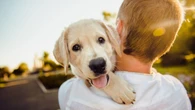 Come far vivere più a lungo e in salute il proprio cane: scienziati svelano il fattore “segreto”