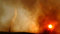 Perché il cambiamento climatico può diffondere nuovi virus in Italia: lo spiega l’esperto SIMIT