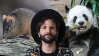 Cannibalismo, bondage e rapporti da record: Barbascura svela i segreti dell’amore tra gli animali