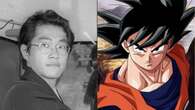 Cos’è l’ematoma subdurale acuto che ha ucciso Akira Toriyama, il creatore di Dragon Ball: sintomi e cura