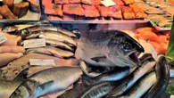 Perché i ricercatori dicono che mangiare questo tipo di pesce abbassa il colesterolo