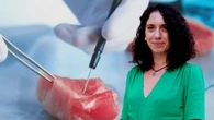 Carne coltivata, il governo Meloni ora prova a fermarla in Europa: “Documenti pieni di fake news”