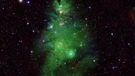 Un albero di Natale brilla nella Via Lattea, la nuova spettacolare foto della NASA