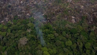 Foresta amazzonica sul punto di non ritorno: i cinque limiti da non superare