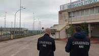 Nas al Mercato Ittico di Salerno, multe per magazzini sporchi e chili di pesce a rischio distrutti