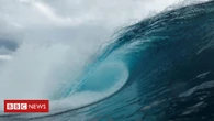 Por que o oceano está ficando mais escuro?