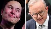 Musk’s surprise backer in fight with Albo