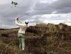 Home favourite McIlroy takes lead at the Irish Open