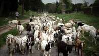 Rome's first highway added to World Heritage list