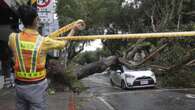 Taiwan clears up as remnant of typhoon brushes China